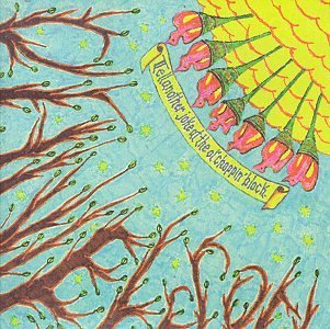 Danielson Family/Tell Another Joke At The Ol' C